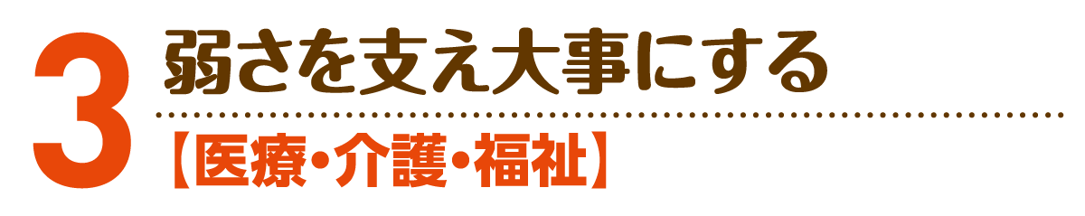 小野寺のりこの政策３：医療・介護・福祉